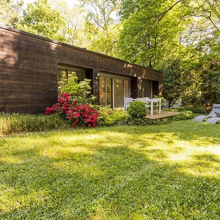 Contemporain Avec Jardin Et Parking A - Fr-1-306-1309