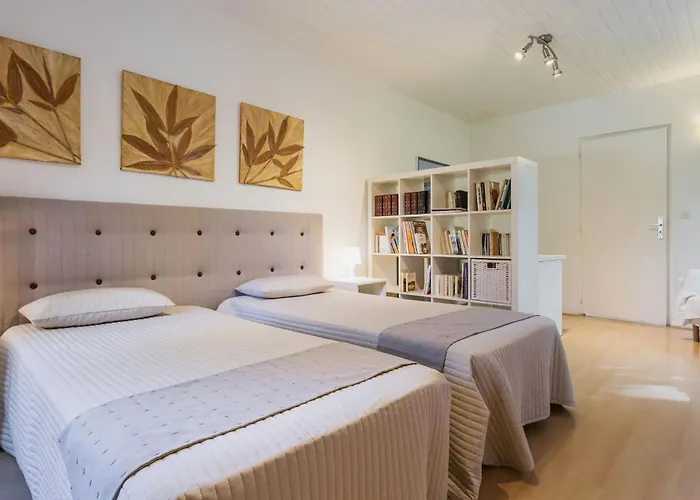 度假居 Contemporain Avec Jardin Et Parking A - Fr-1-306-1309 *